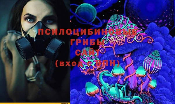 амф Мегион