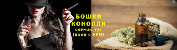 гашик Майский