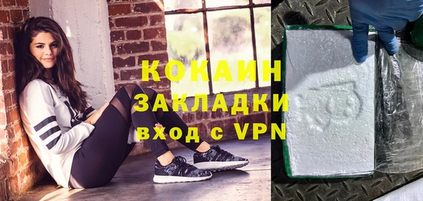 гашик Майский