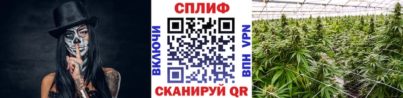 Марихуана ГИДРОПОН  OMG вход  Черепаново  хочу  